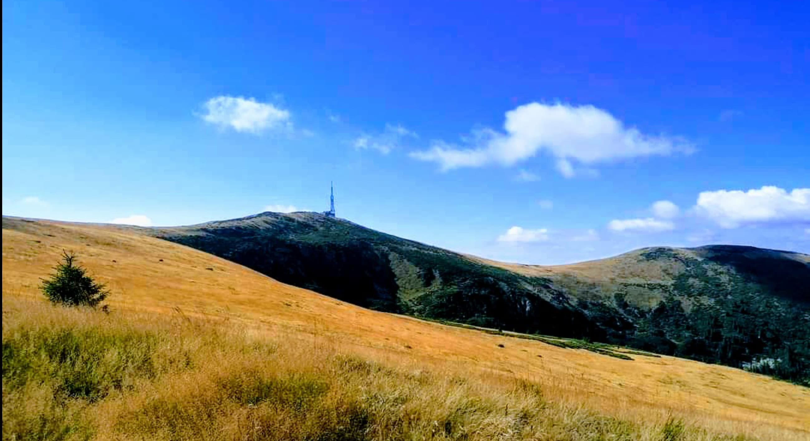View of the tower on the peak