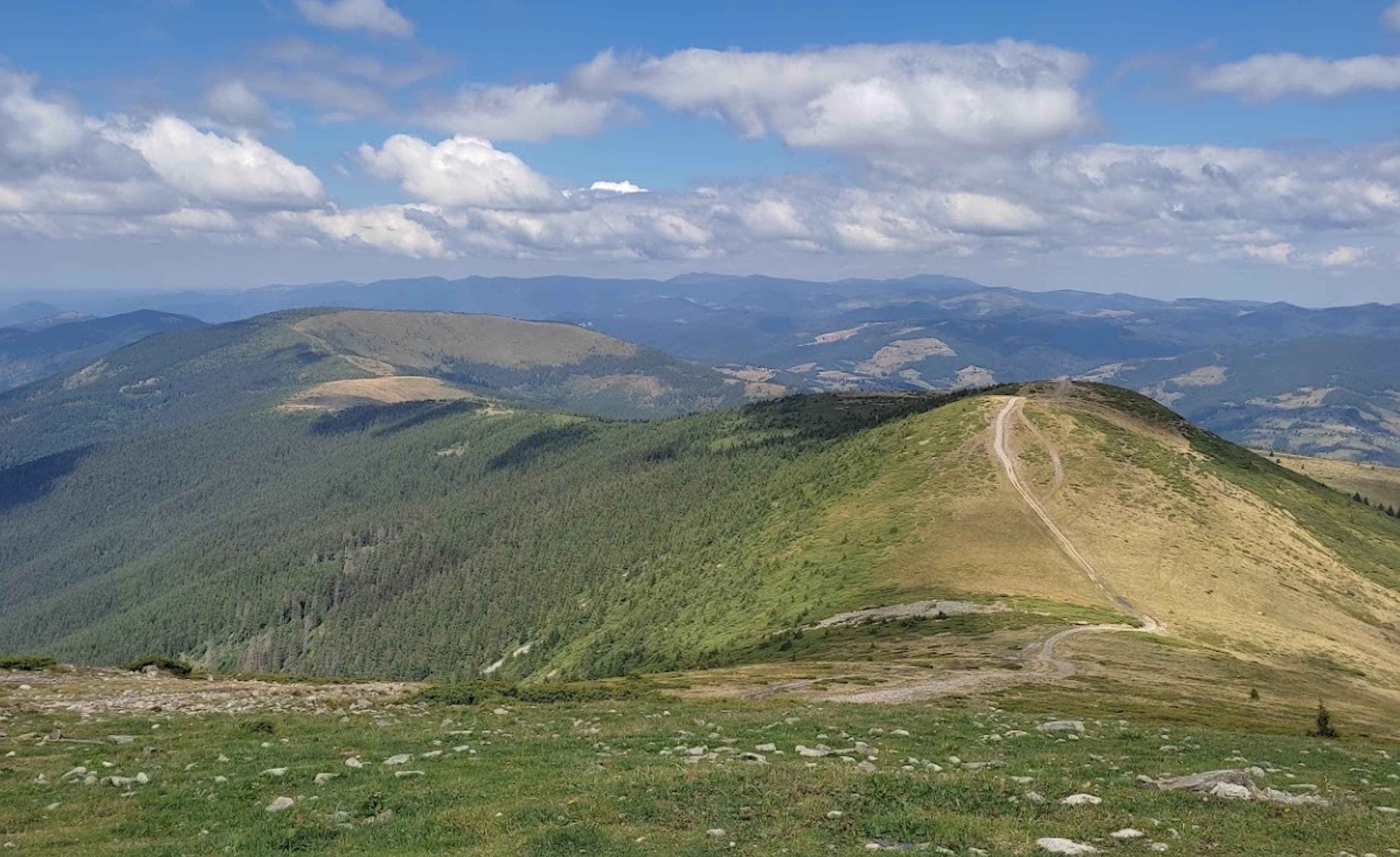 Panoramic view